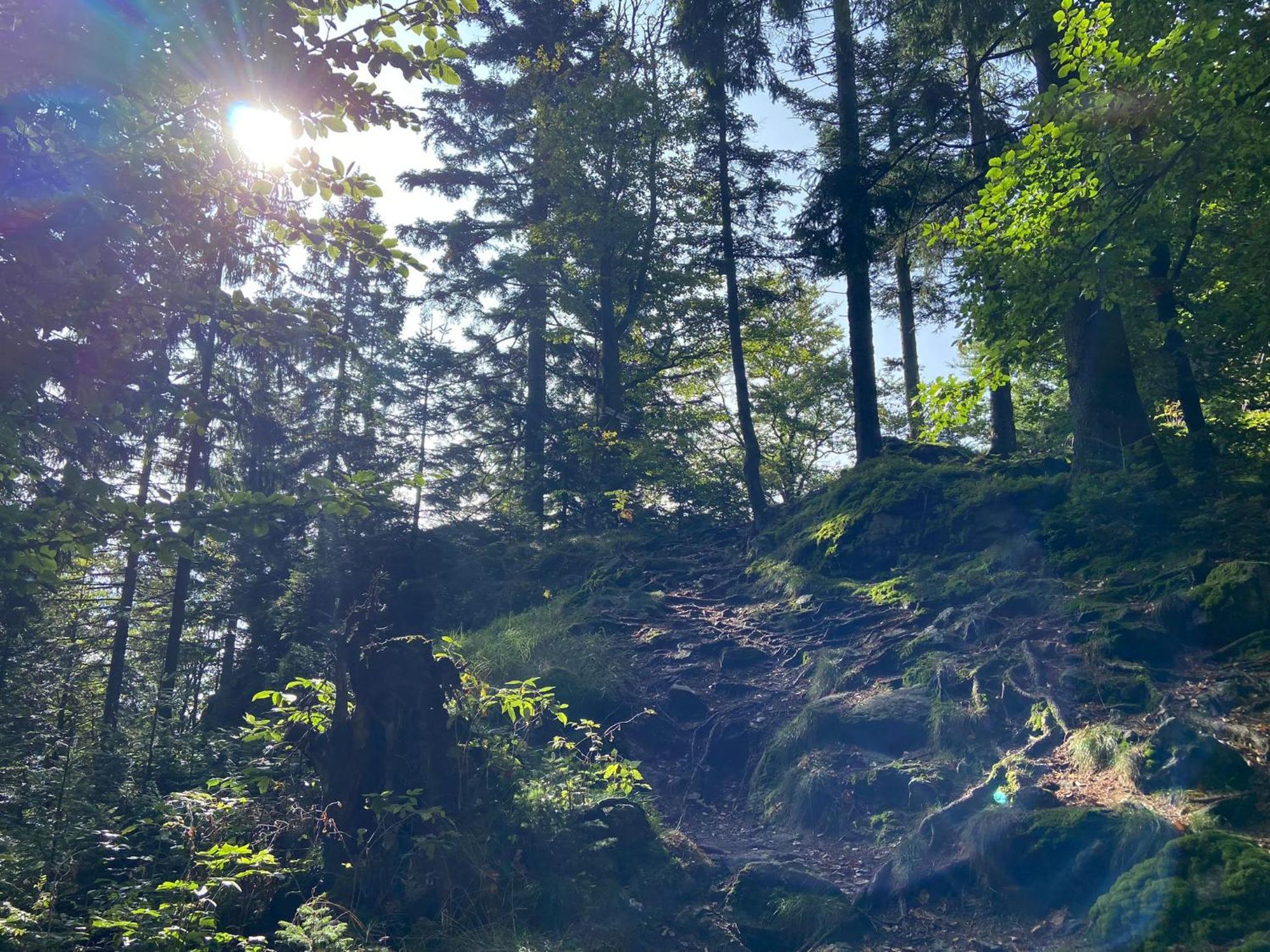 Landgasthof Brandtner Wirt Langdorf  Exteriör bild